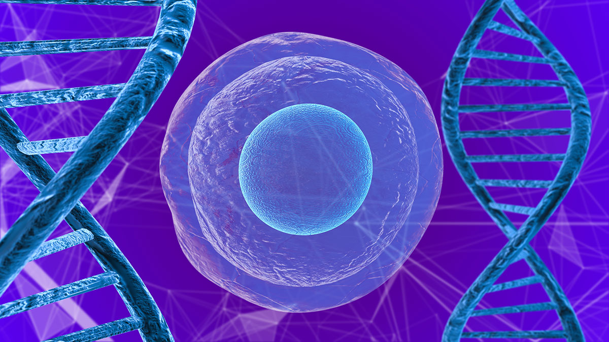 cellbox transport biobanking and long term storage of cells
