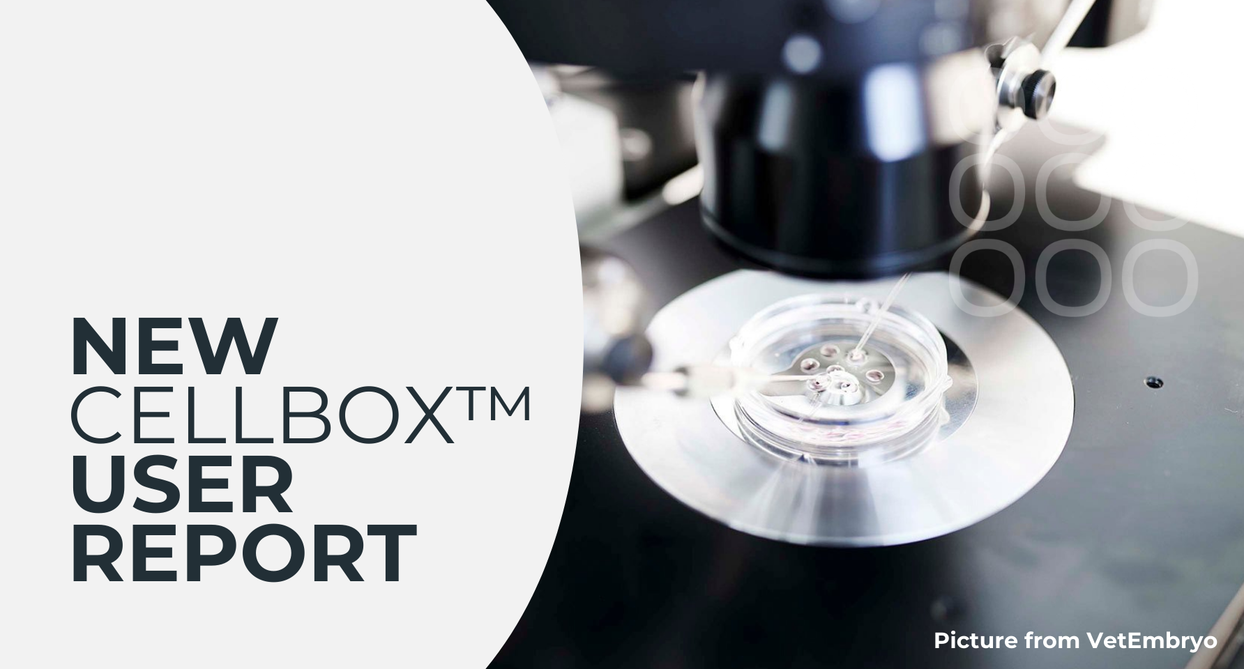 Cellbox User Report - In vitro maturation in a portable CO₂ incubator ...