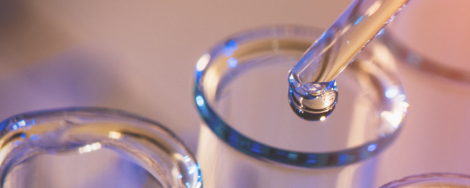 STEM CELL: Customized Logistic Solutions For iPSC-Derived Hepatocytes