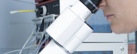 TISSUE: Transporting HUMIMIC Chip2 based Blood-Brain-Barrier Model