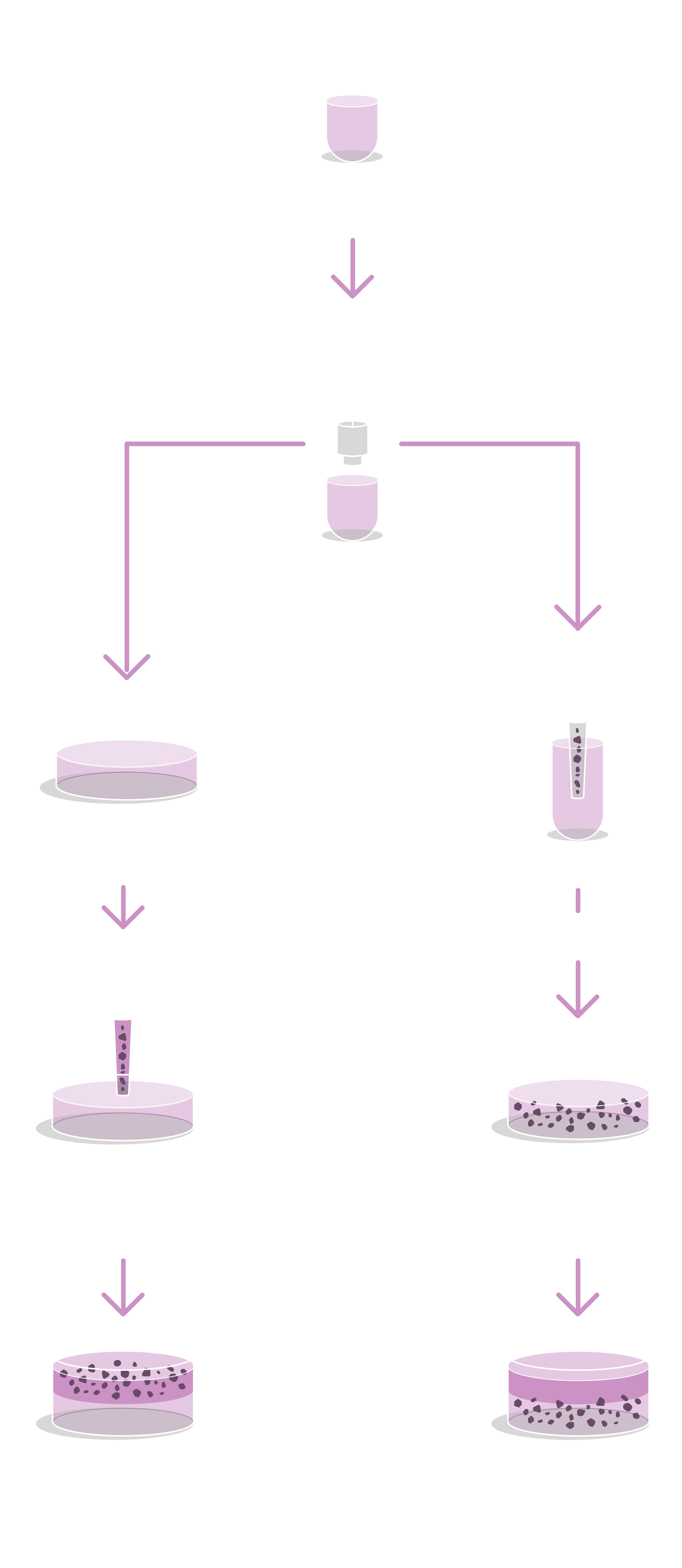 Image used when the browser does not support the sources